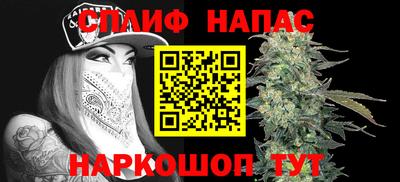 прущие грибы Партизанск
