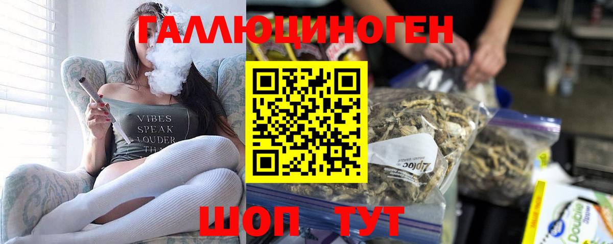 Псилоцибиновые грибы MAGIC MUSHROOMS  Вход с VPN  Псилоцибиновые грибы прущие грибы  Советск 